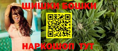 тгк Камышлов
