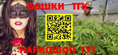 тгк Камышлов