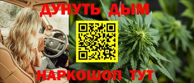 тгк Камышлов