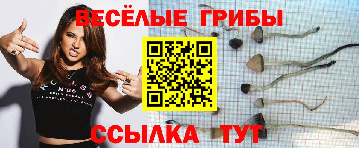 Псилоцибиновые грибы мухоморы  Вход с VPN  Кудымкар 